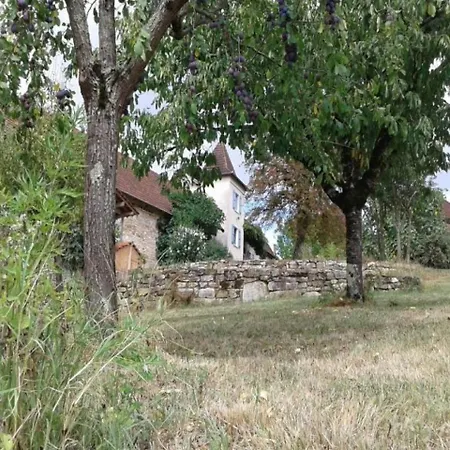 House Le Grand Marronnier * Memerlin
